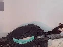 Amateur Best live sex cam show of khiara_moretti