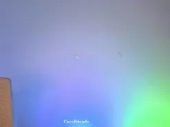Amateur Watch Live Sex Cams of carol_blonde
