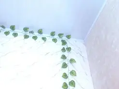 Amateur Nude Webcam of amandacanelacm