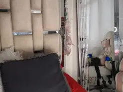 Amateur Free Live Porn of chelaqueen_