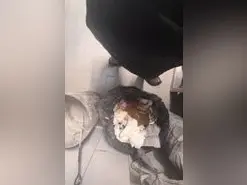 Amateur Live Sex of YourPervVice