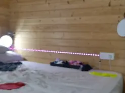 Amateur Live Sex Cam of wild41