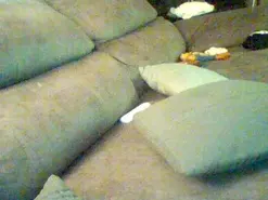 Amateur Adult Video Chat of TyeMorboparty