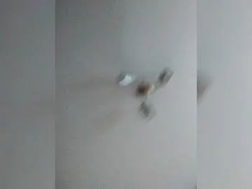Bongacams Best Webcam of Cekcukyc