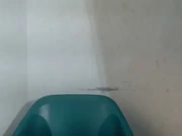 Bongacams Private Sex Chat of Sugarxpussy