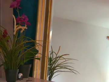 Bongacams Watch Live Sex Cams of BrunetteBombix