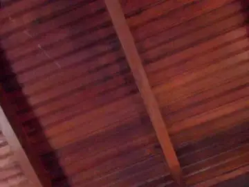Bongacams Sex Cam of sophi-star