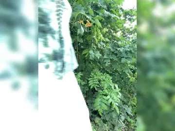 Bongacams Best live sex cam show of AyraMoon
