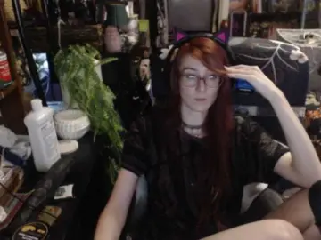 Bongacams Adult Webcam of pussyxpaladin
