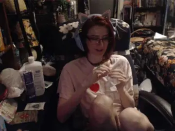 Bongacams Adult Webcams of pussyxpaladin