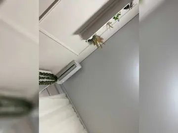 Bongacams Live Porn of RadaRay55