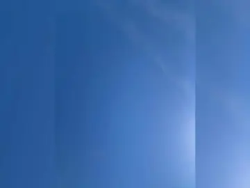 Bongacams Free Porn Cam of Anomaliya