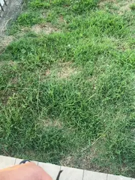 Cam4 Free Porn Cam of Nolino20