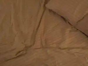 Cam4 Nude Webcam of HarrietDeeks