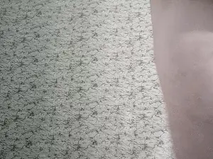 Cam4 Free Porn Cam of Quiperte