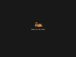 Cam4 Sex Chat of valdelacroix