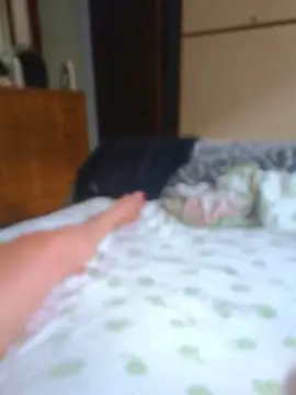Cam4 Live Sex Cam of maxpom21