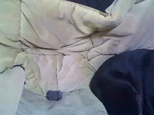 Cam4 Live Porn of Xicomajo86