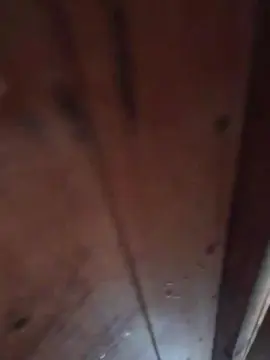 Cam4 Sex Cam of Janfilippo69