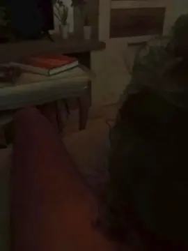 Cam4 Live Sex of moreno2359