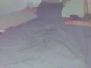Cam4 Sex Chat of ambreyxes