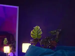 Cam4 Live Sex of RubyRosa