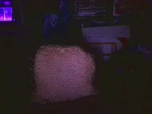 Cam4 Live Porn of blindsurfer