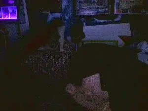 Cam4 Live Porn of blindsurfer