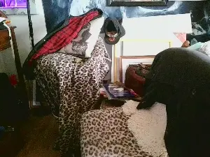 Cam4 Adult Video Chat of blindsurfer