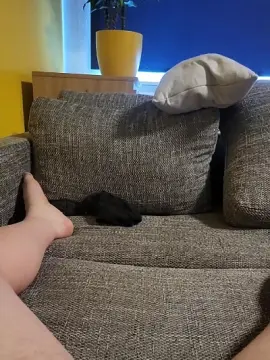 Cam4 Best live sex cam show of Felix95lust