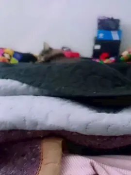 Cam4 Live Porn of mojhei