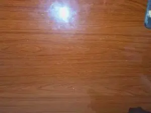 Cam4 Free Porn Cam of GringoDelicius
