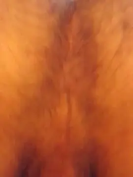 Cam4 Best live sex cam show of jimy303