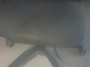 Cam4 Sex Chat of TINYCOCK1956