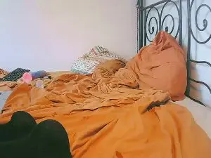 Cam4 Adult Video Chat of foxyanal