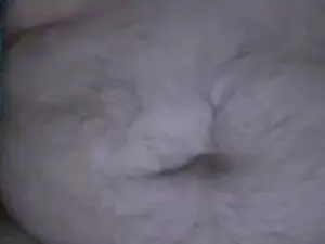 Cam4 Watch Live Sex Cams of caliente865