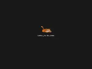 Cam4 Sex Chat of scorp791