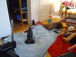Cam4 Sex Cam of Kmsmxff