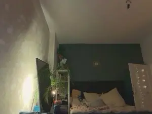 Cam4 Adult Webcam of Heikhoe69