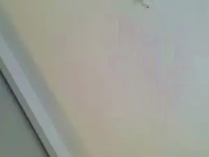 Cam4 Live Sex of rem69xxx
