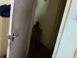 Cam4 Live Porn of northpole5