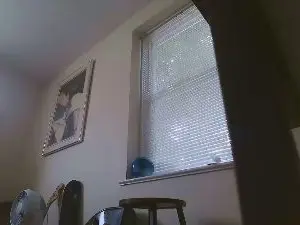 Cam4 Best Webcam of PiggyProlapse