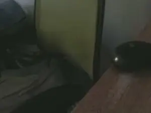 Cam4 Live Porn of reifedame59