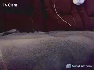 Cam4 Private Sex Chat of dusty232