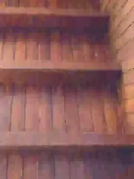 Cam4 Free Porn Cam of Elnegro_06