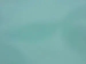 Cam4 Sex Cam of costevergon7