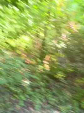 Cam4 Private Sex Chat of Bittchiz686868