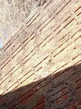 Cam4 Private Sex Chat of Nfsexy