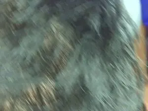 Cam4 Sex Cam of flaquit0j