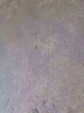Cam4 Live Sex of rickcba